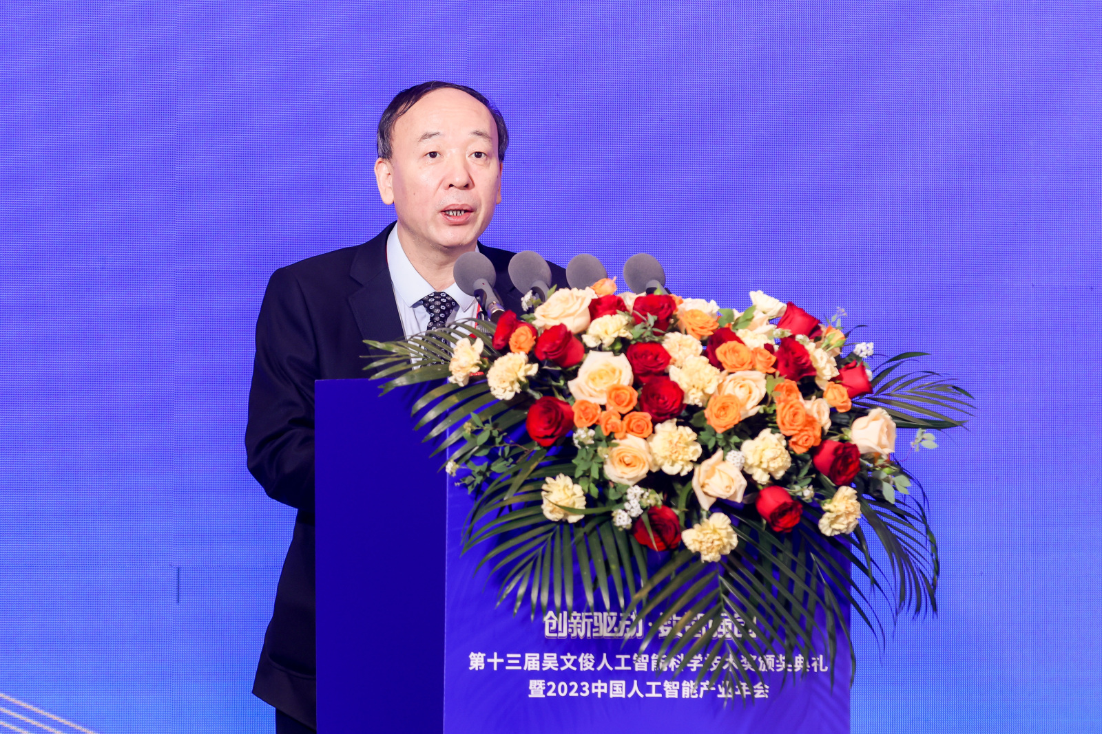 中国人工智能学会党委书记、副理事长，中国工程院院士赵春江致辞